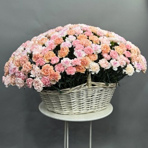 Композиция в корзине из 251 диантуса микс в Котельниках