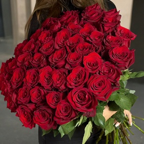 Букет 51 роза Эквадор Эксплорер (60 см) в Котельниках
