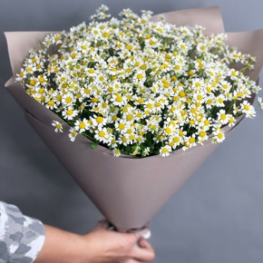 Букет из 17 ромашек танацетум в Котельниках
