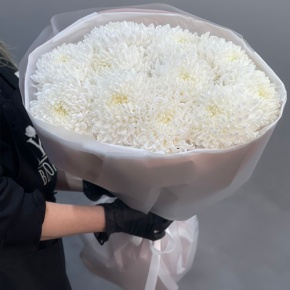 Букет из 11 белых хризантем  в Котельниках