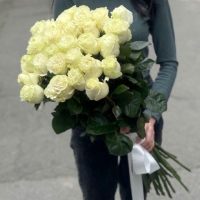 Монобукет из 25 роз Эквадор Мондиаль (80 см) в Котельниках