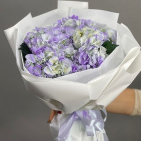 Букет из 5 фиолетовых гортензий в Котельниках