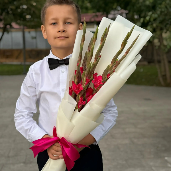 Букет на 1 сентября из 7 малиновых гладиолусов в Котельниках