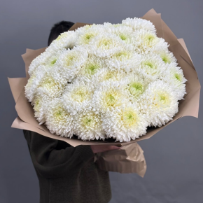 Букет из 27 хризантем Магнум в Котельниках