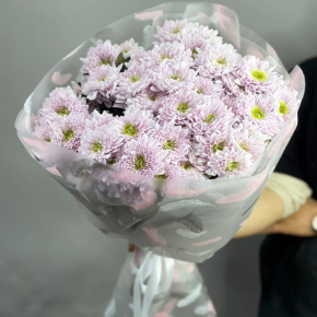 Букет "Нежный комплимент" из 9 кустовых хризантем в Котельниках