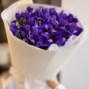 Букет из 21 ириса в Котельниках