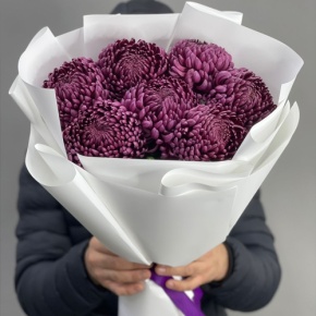 Букет "Винная легенда" из 7 хризантем Бигоуди в Котельниках