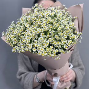 Букет из 17 полевых ромашек в Котельниках
