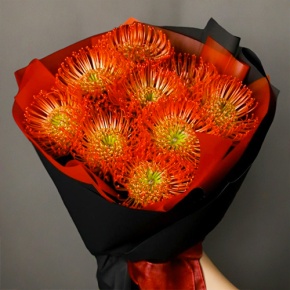 Букет из 9 лейко в Котельниках