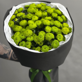 Стильный букет "Лайм" из 15 хризантем сантини в Котельниках