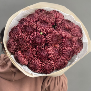 Букет 21 шоколадной хризантемы Бигоуди в Котельниках