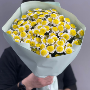 Букет "Моё солнышко" из 17 хризантем сантини  в Котельниках