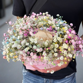 Композиция в коробке сердца из радужных гипсофил с топпером в Котельниках