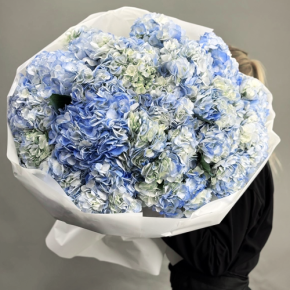 Букет из 23 синих гортензий в Котельниках