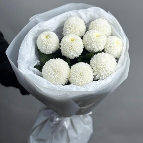 Букет из 9 белых хризантем Момоко в Котельниках