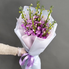 Букет из 7 розовых маттиол в Котельниках