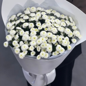 Букет "Белая дымка" из 25 хризантем сантини в Котельниках