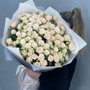Букет из 25 кремовых кустовых роз (70 см) в Котельниках