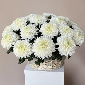 Композиция в корзине из 25 хризантем Магнум в Котельниках
