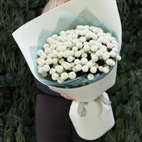 Букет из 25 хризантем Ньютон в Котельниках