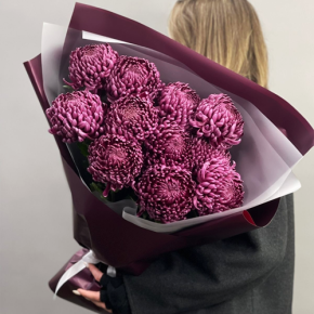Букет "Изобилие" из 11 винных хризантем Бигоуди в Котельниках