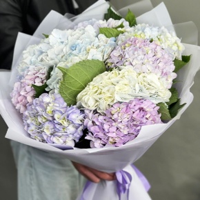 Букет из 9 Голландских гортензий микс в Котельниках
