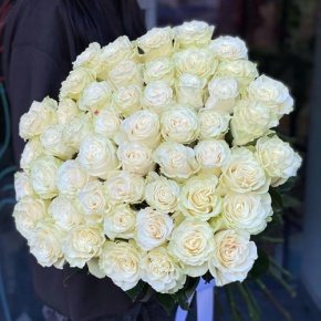 Букет из 51 розы Эквадор Мондиаль под ленту (80 см) в Котельниках