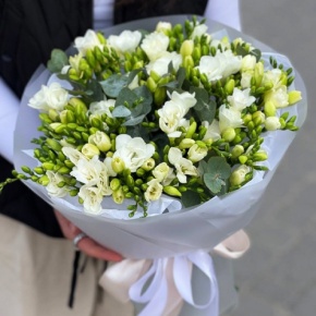 Букет из 51 белой фрезии в Котельниках