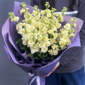 Букет из 15 лимонных маттиол в Котельниках