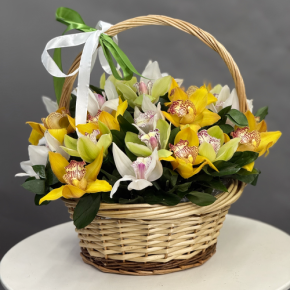 Композиция в корзине из 25 орхидей микс в Котельниках
