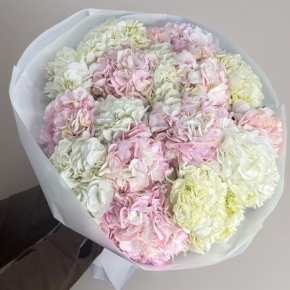 Букет из 17 нежных гортензий в Котельниках