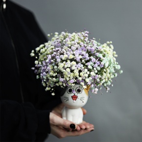 Композиция из гипсофил в керамическом кашпо в Котельниках