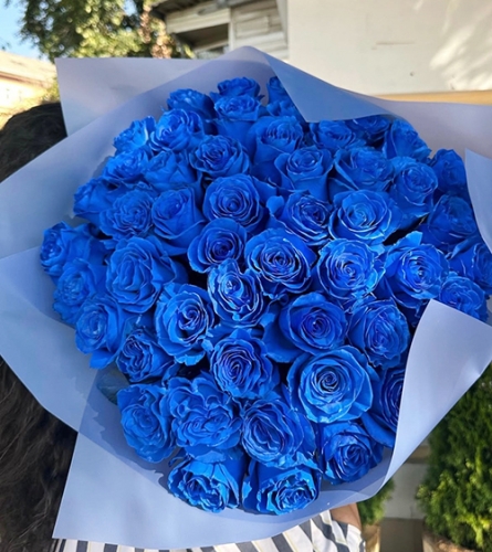 Букет из 51 синей розы Эквадор (60 см) в Котельниках
