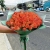 Букет из 51 мандариновой розы (40 см) в Котельниках Букет из 51 мандариновой розы (40 см) в Котельниках