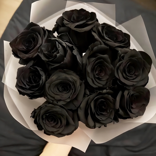 Букет "Черная королева" из 11 черных роз Эквадор (60 см) в Котельниках