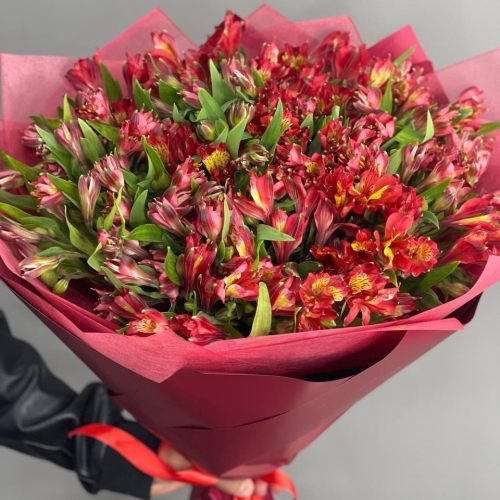 Монобукет из 25 красных альстромерий в Котельниках