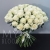 Букет 75 белых роз Эквадор Мондиаль (80 см) в Котельниках Букет 75 белых роз Эквадор Мондиаль (80 см) в Котельниках