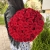 Букет 51 красной розы 50 см в Котельниках Букет 51 красной розы 50 см в Котельниках