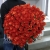 Букет 101 коралловая роза (60 см) в Котельниках Букет 101 коралловая роза (60 см) в Котельниках