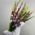 Букет из 25 гладиолусов микс в Котельниках Букет из 25 гладиолусов микс в Котельниках
