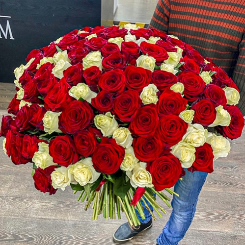 Букет 151 роза красный и белый микс (60 см) в Котельниках