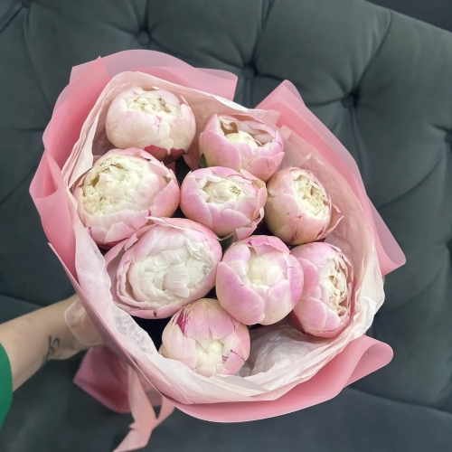 Букет из 9 нежных пионов Гардения в Котельниках