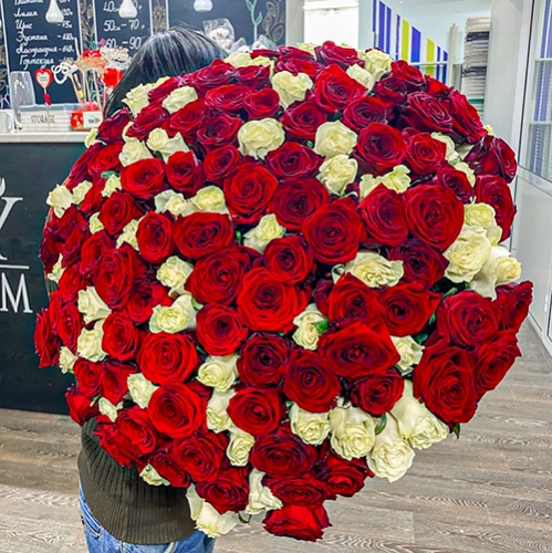 Букет 151 роза красный и белый микс (60 см) в Котельниках