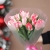 Букет "Фламинго" из 11 пионовидных тюльпанов в Котельниках Букет "Фламинго" из 11 пионовидных тюльпанов в Котельниках
