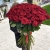 Букет из 101 красной розы (90 см) в Котельниках Букет из 101 красной розы (90 см) в Котельниках