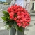 Букет 51 роза коралл (60 см) в Котельниках Букет 51 роза коралл (60 см) в Котельниках
