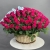 Композиция в корзине из 151 малиновой розы в Котельниках Композиция в корзине из 151 малиновой розы в Котельниках