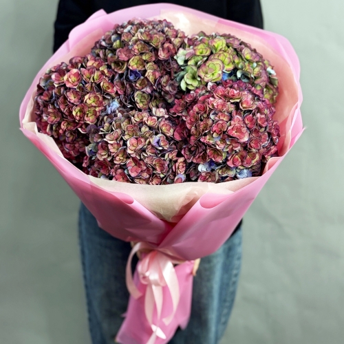 Букет из 5 космических Голландских гортензий в Котельниках