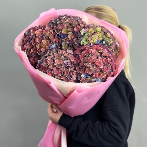 Букет из 5 космических Голландских гортензий в Котельниках